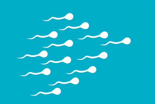 Could Salmon sperm be the key to youthful skin?