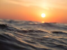 Light, Beauty and the Longest Day: The Summer Solstice and Aesthetic Ideals