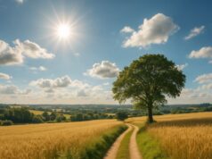 August is Wellness Month: Prioritise Your Well-Being  