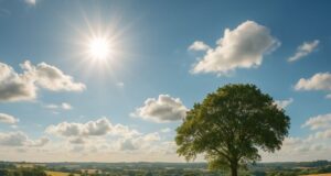 August is Wellness Month: Prioritise Your Well-Being  