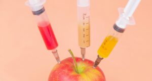 Hyaluronic Acid vs Polylactic Acid: Which Injectable Should You Choose?