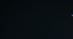 How Paris Fashion Week Is Championing Natural Aesthetics