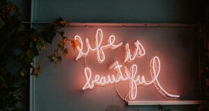 Why “Aesthetic Minimalism” Is Replacing Extreme Transformations