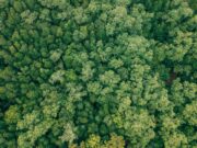 Celebrity Anti-Aging Trends vs. the Green Tech Cleaning Up Toxic Dye Wastewater Celebrity Anti-Aging Trends vs. the Green Tech Cleaning Up Toxic Dye Wastewater