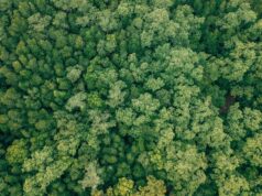 Celebrity Anti-Aging Trends vs. the Green Tech Cleaning Up Toxic Dye Wastewater Celebrity Anti-Aging Trends vs. the Green Tech Cleaning Up Toxic Dye Wastewater