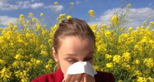 Don't Let Pollen Ruin Your Summer: The Ultimate Hayfever Survival Guide