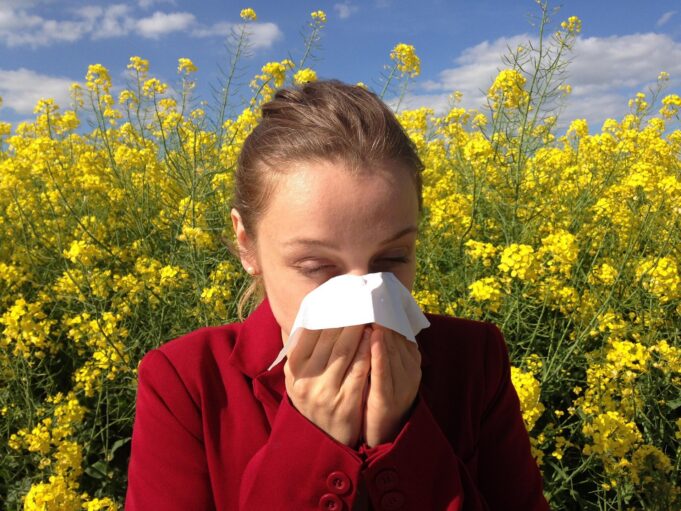 cenczi-allergy-1738191_1920 Don't Let Pollen Ruin Your Summer: The Ultimate Hayfever Survival Guide