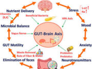 The Mind-Gut-Sex Axis: How Your Microbiome Influences Your Mood and Intimate Health The Mind-Gut-Sex Axis: How Your Microbiome Influences Your Mood and Intimate Health