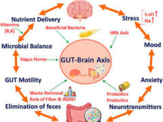 The Mind-Gut-Sex Axis: How Your Microbiome Influences Your Mood and Intimate Health The Mind-Gut-Sex Axis: How Your Microbiome Influences Your Mood and Intimate Health
