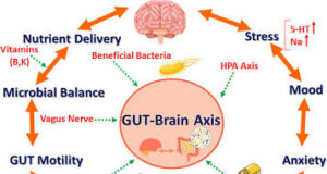 The Mind-Gut-Sex Axis: How Your Microbiome Influences Your Mood and Intimate Health