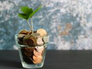 The Aesthetic Cost of Slimming