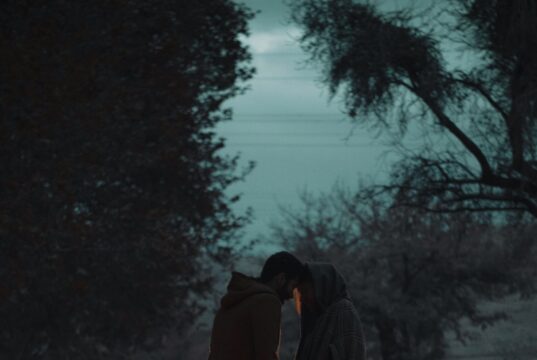 What Happens to Your Brain Chemistry When You Fall in Love What Happens to Your Brain Chemistry When You Fall in Love